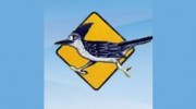 Roadrunner Driving School